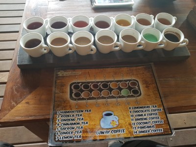 Kaffee-Plantage Bali