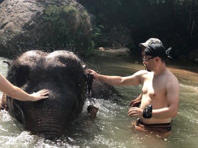 Elefanten waschen