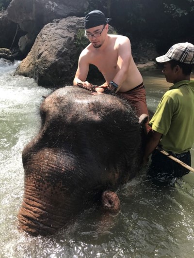 Elefanten waschen